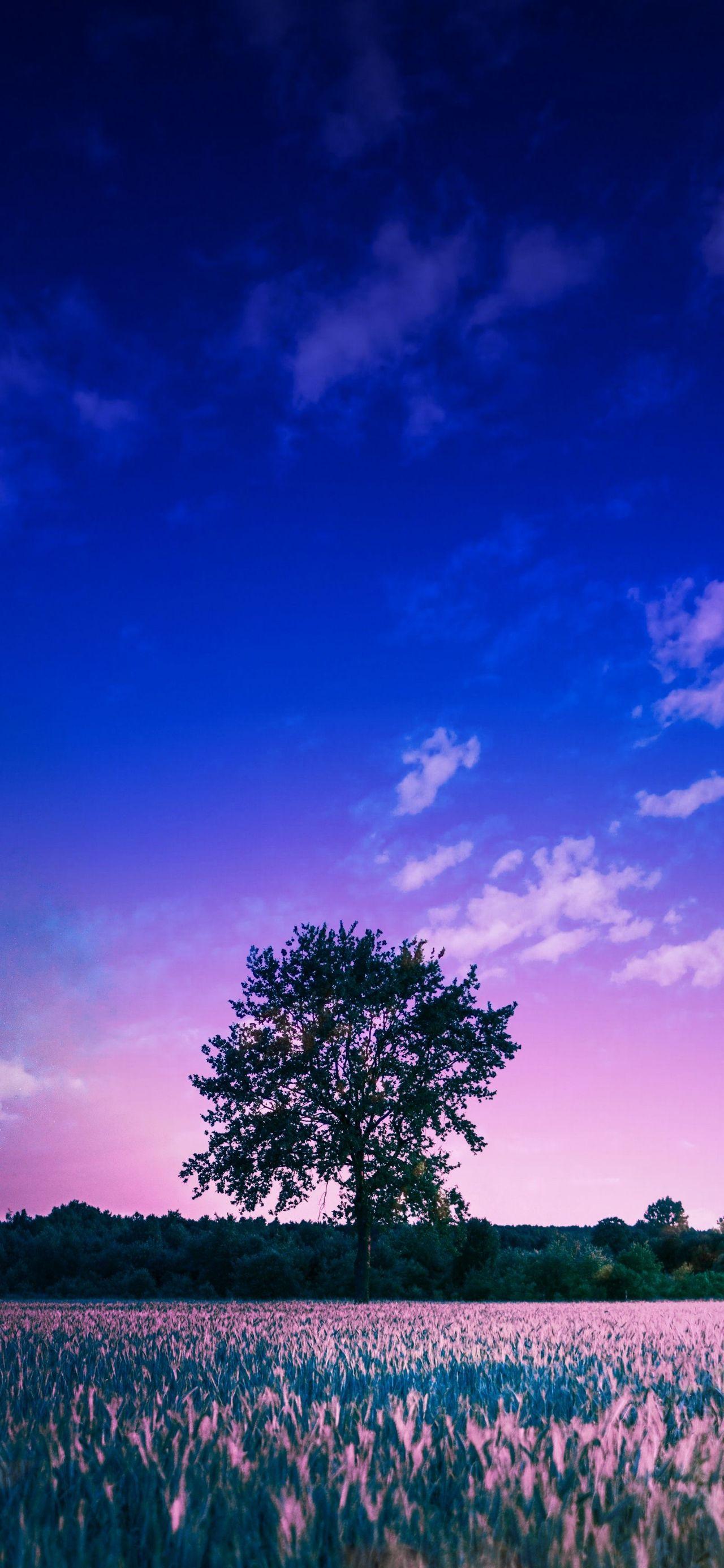 有没有那种4k画质的超高清壁纸