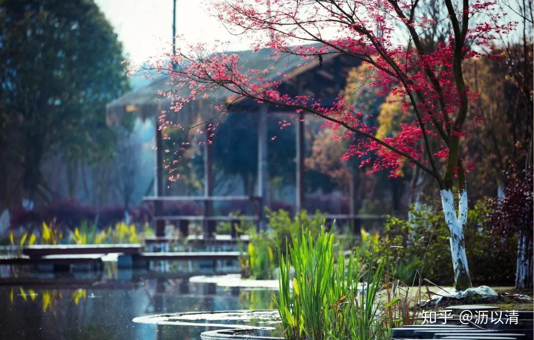 成都万花拾景园图片