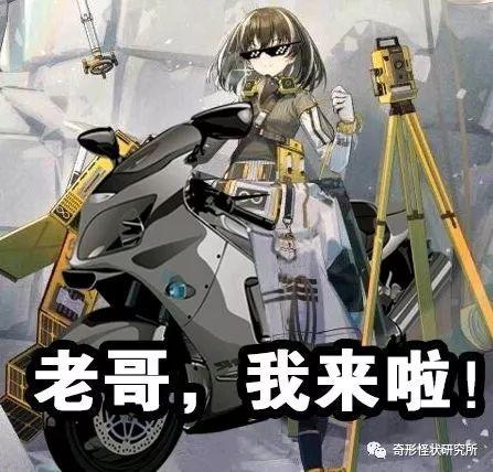 明日方舟走进科学一起观察一下南极的企鹅麦哲伦