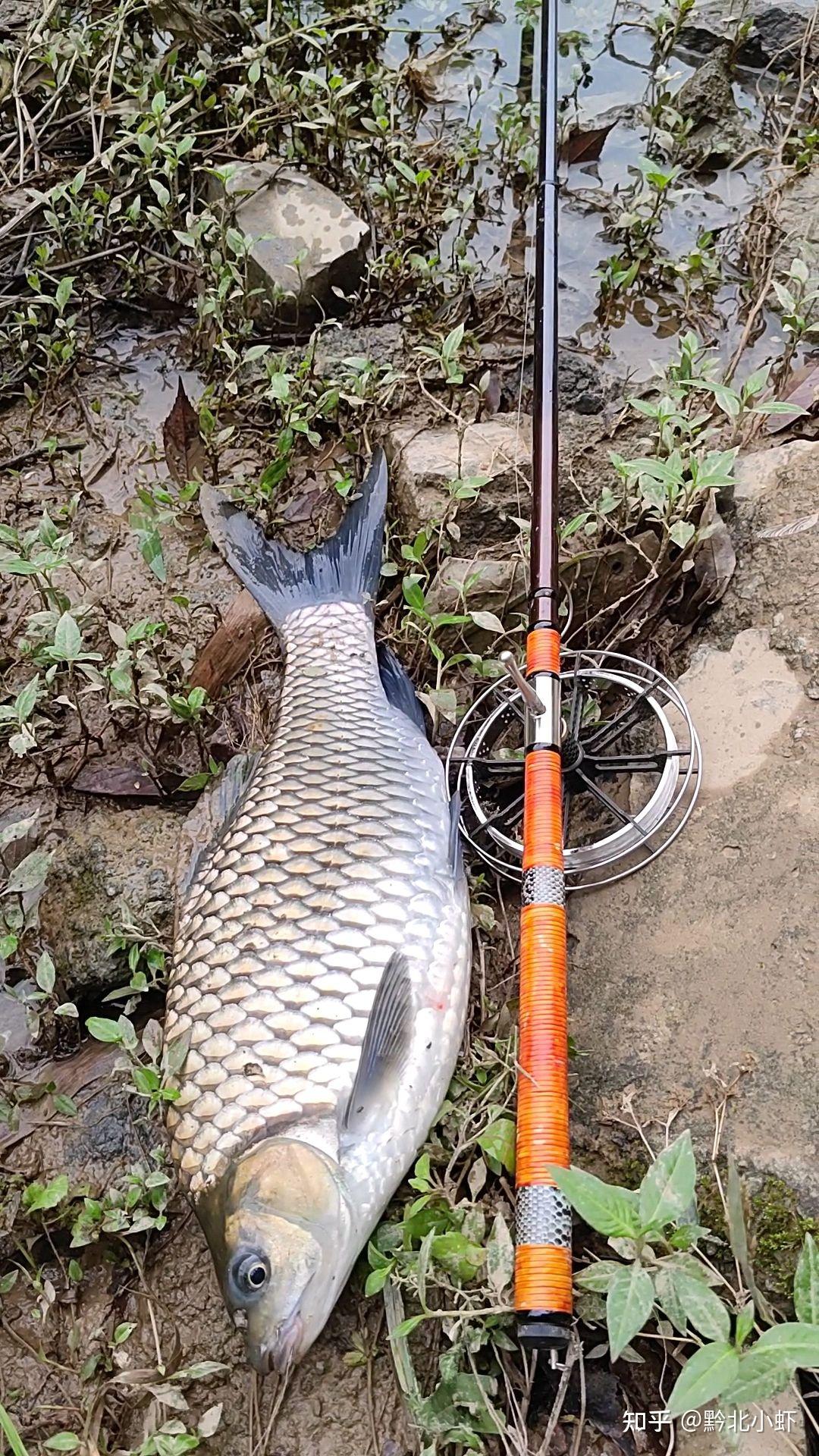"盘车溪流钓"钓法介绍:钓饵,钓具,钓法讲解大全