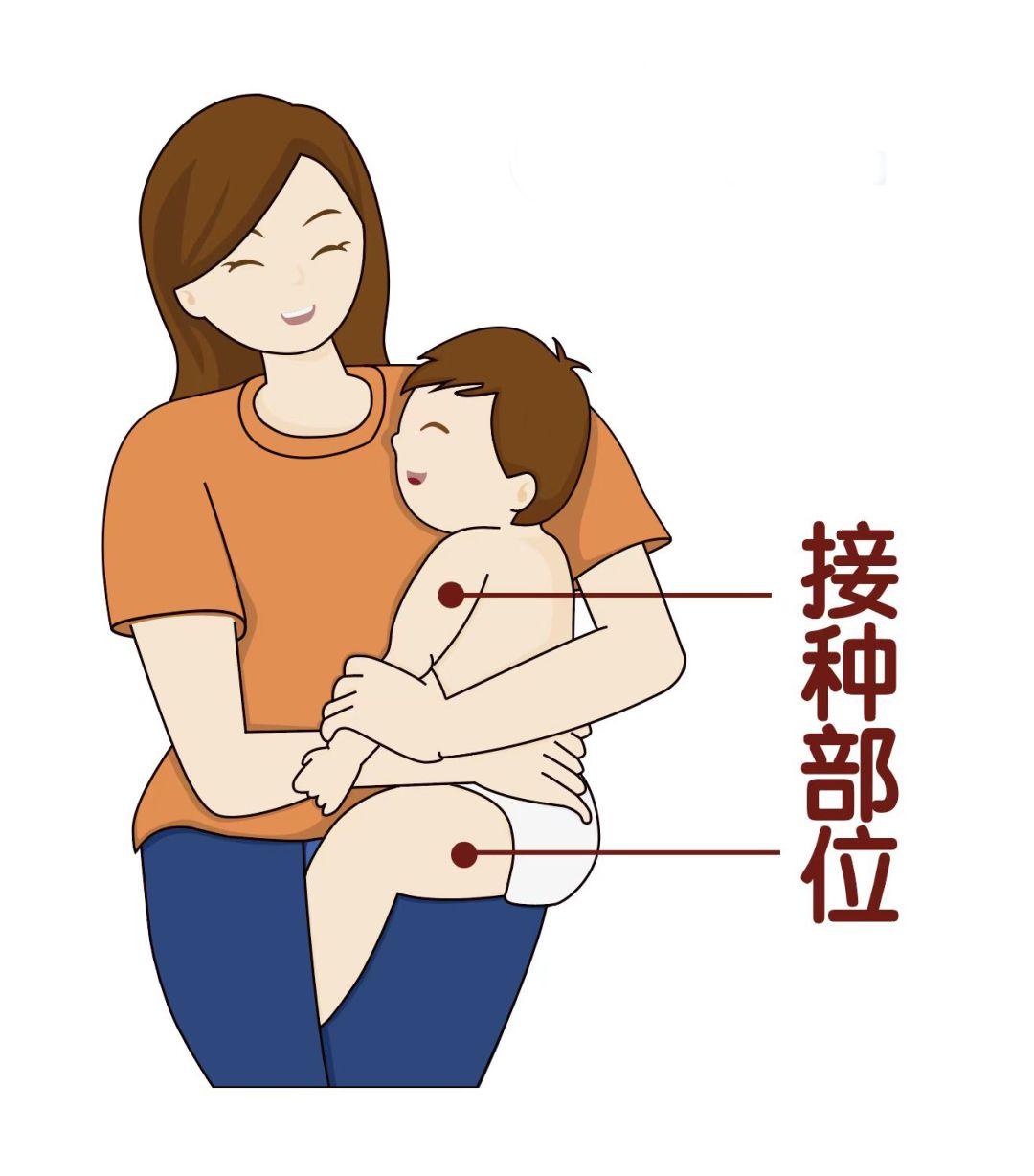 新生儿注射部位示意图图片