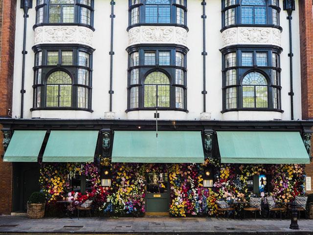 伦敦开花志 | London in Bloom - 知乎