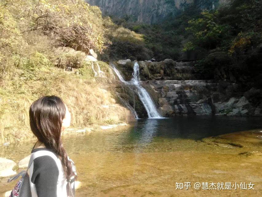 信鸽到底是如何知道送信的目的地?很疑惑?