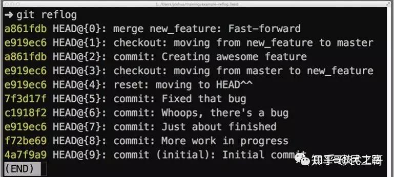 万字详解！Git 入门最佳实践