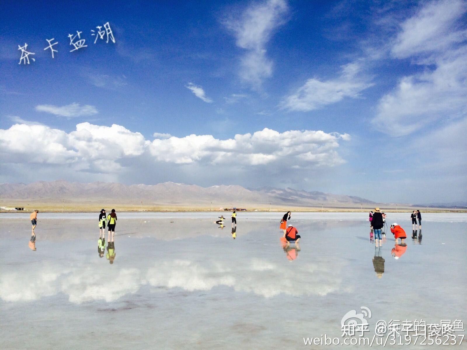 如何评价尾鱼的小说?