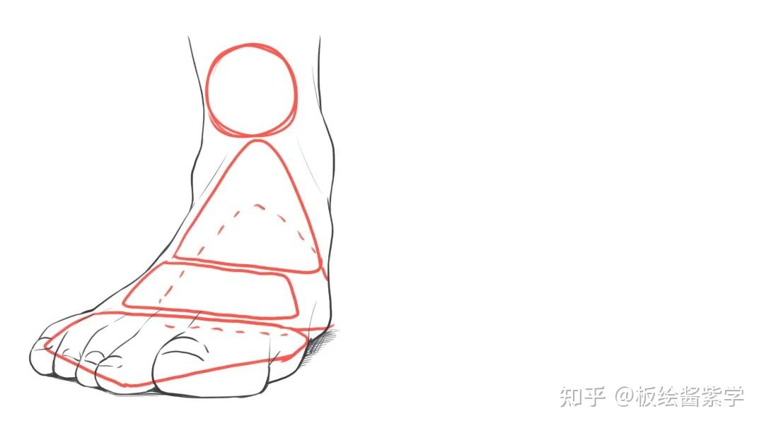 板绘初学者画脚先练什么足控漫画脚部画法教程