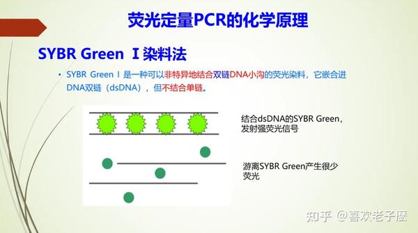 荧光定量PCR的基本原理(染料法+TaqMan探针法) - 知乎