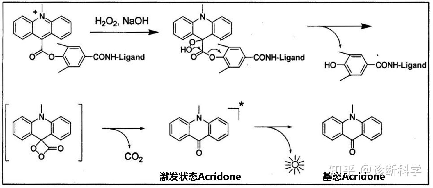 免疫 | 了解化学发光的机制和应用 - 知乎