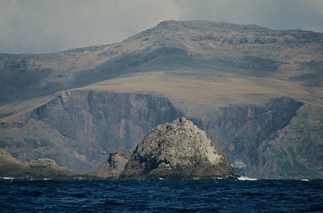 荒島求生