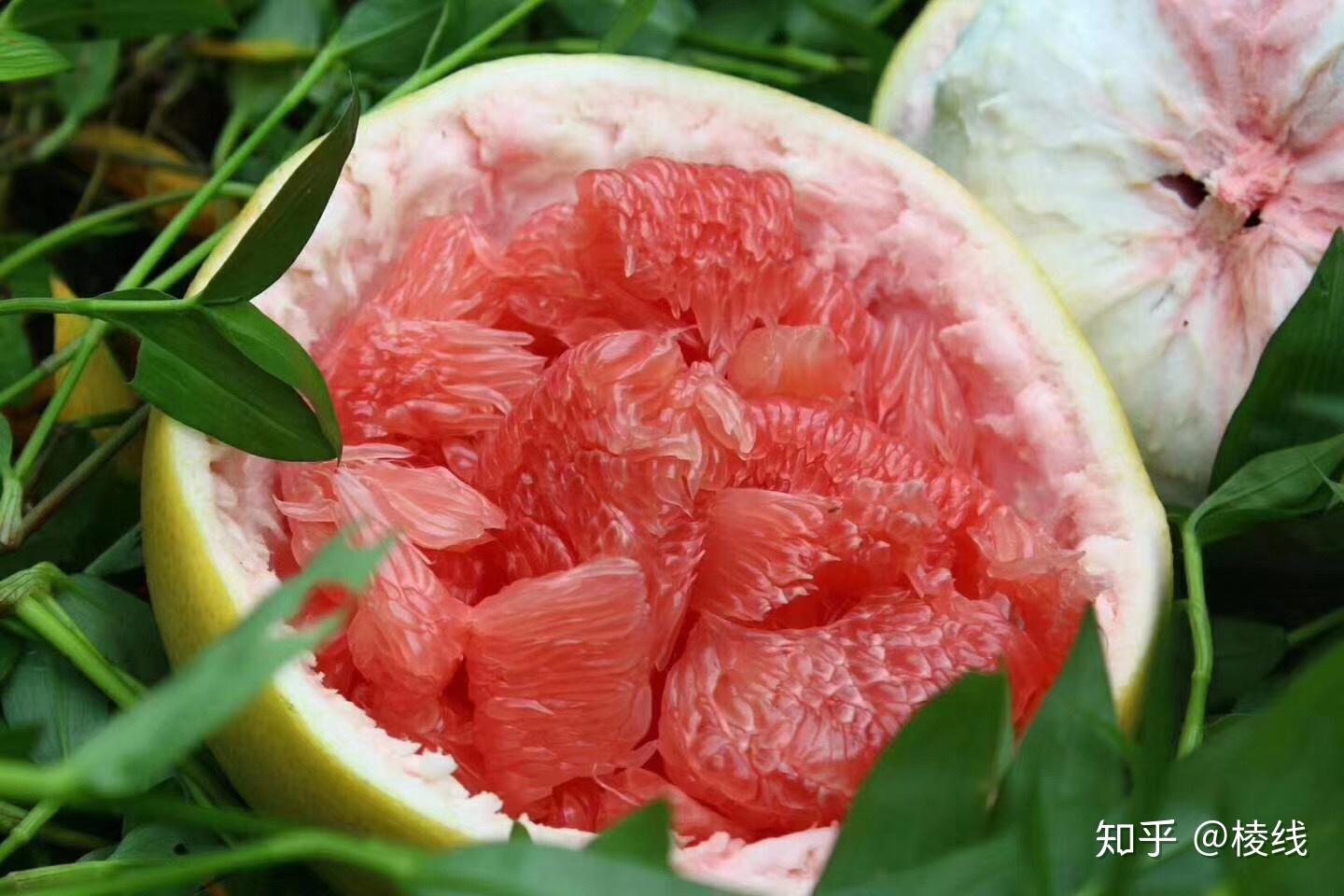 美味新鲜红心三红蜜柚 柚子 多肉多汁 香甜 自然美味|摄影|产品摄影|漳州光绪视觉摄影_原创作品-站酷ZCOOL