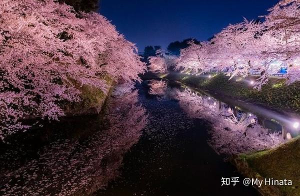 最美的季节遇见你 日本樱花祭全攻略 知乎