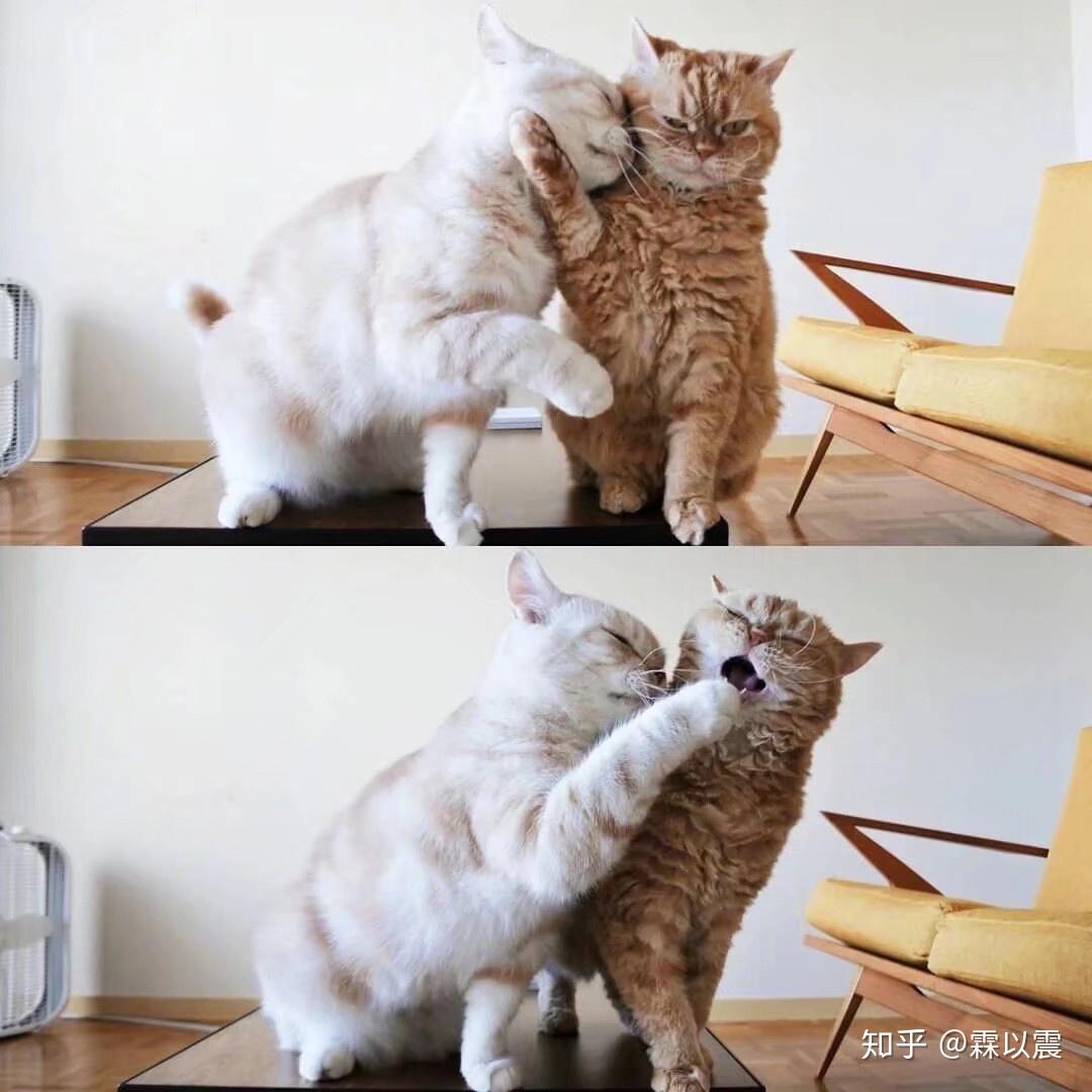 这种事情发生后还能在一起么