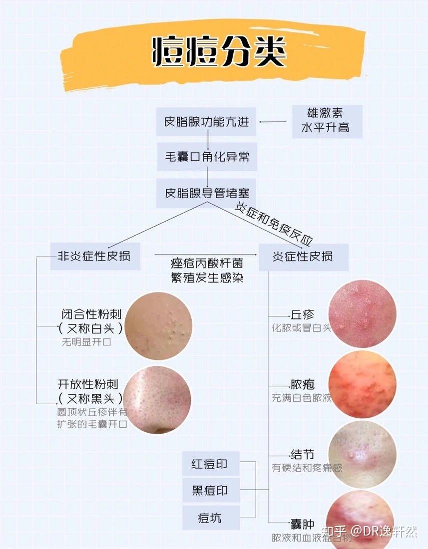 护肤科普知识第2课