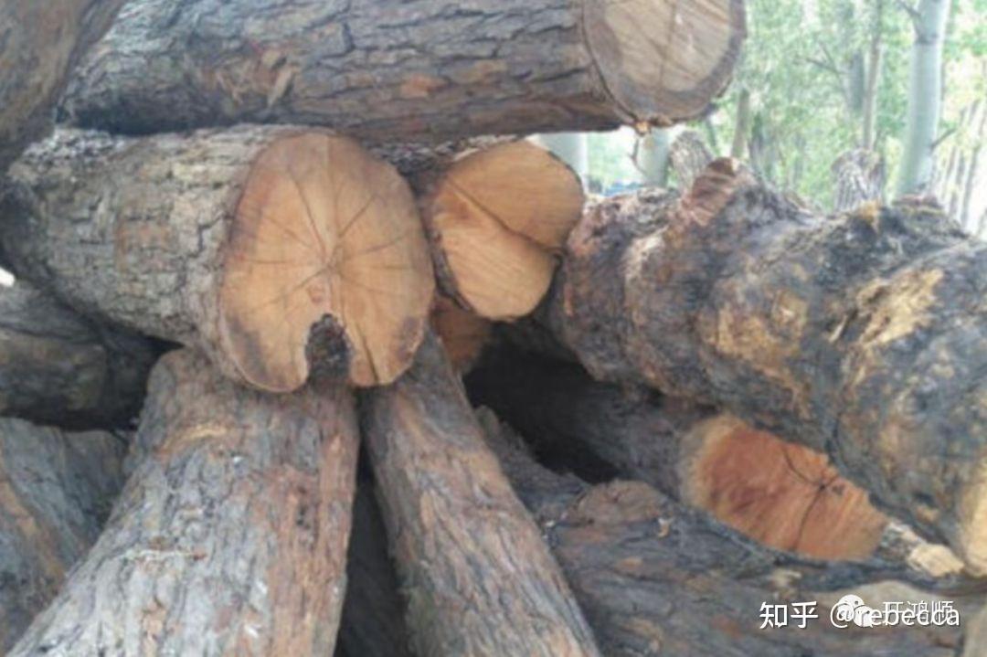 中华豪门—赤金檀：东南亚的珍稀木材，典藏之作 - 知乎