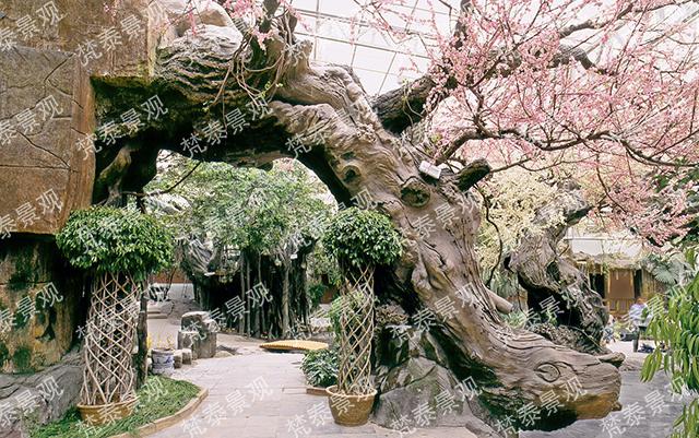 接下来给大家看看两个个不常见的景观树造型树干纹理细腻,花朵密度