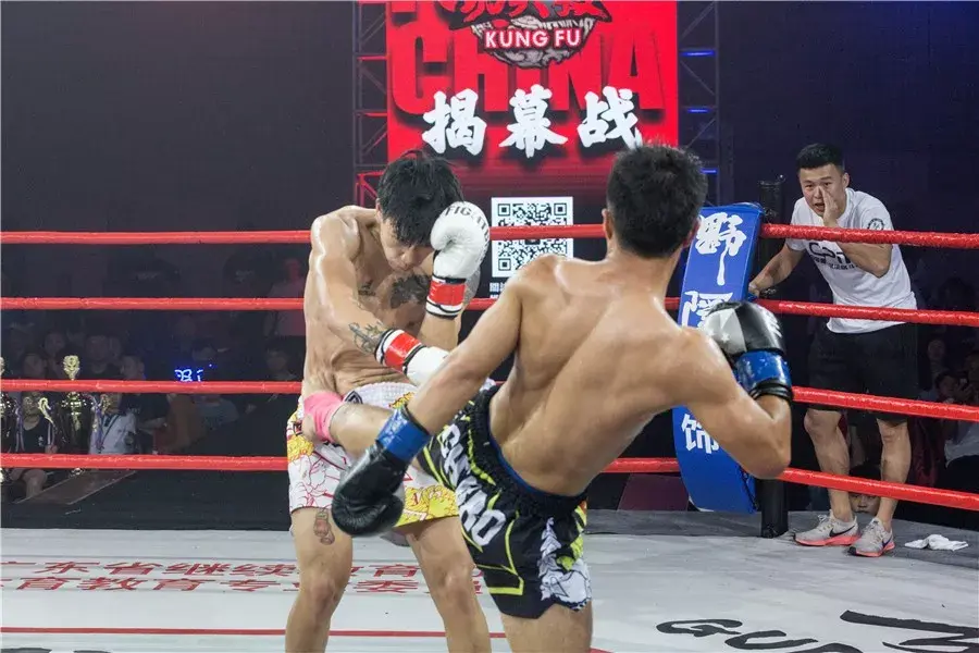 “超豪华阵容”助力“野隐杯武术散打功夫技“-揭幕赛 - 知乎