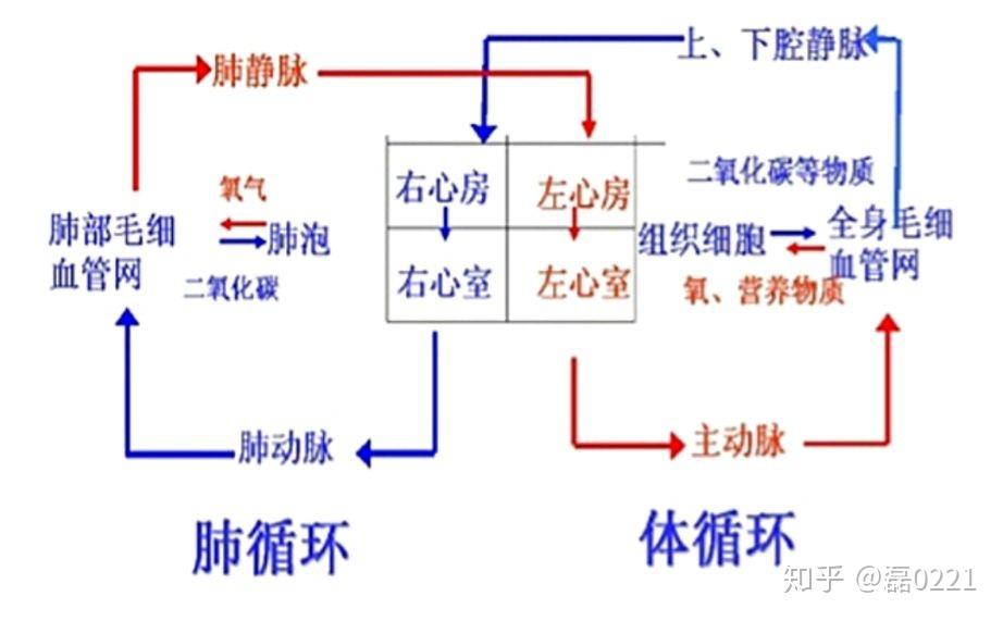 气杀的原理_卡车气刹制动构造与原理 底盘专区 Discuz