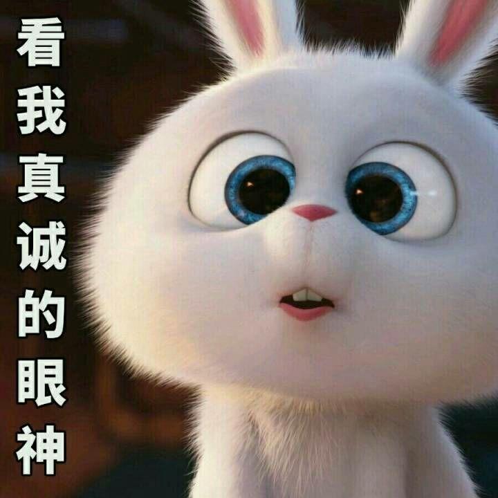 有哪些好看的耽美小说值得推荐?