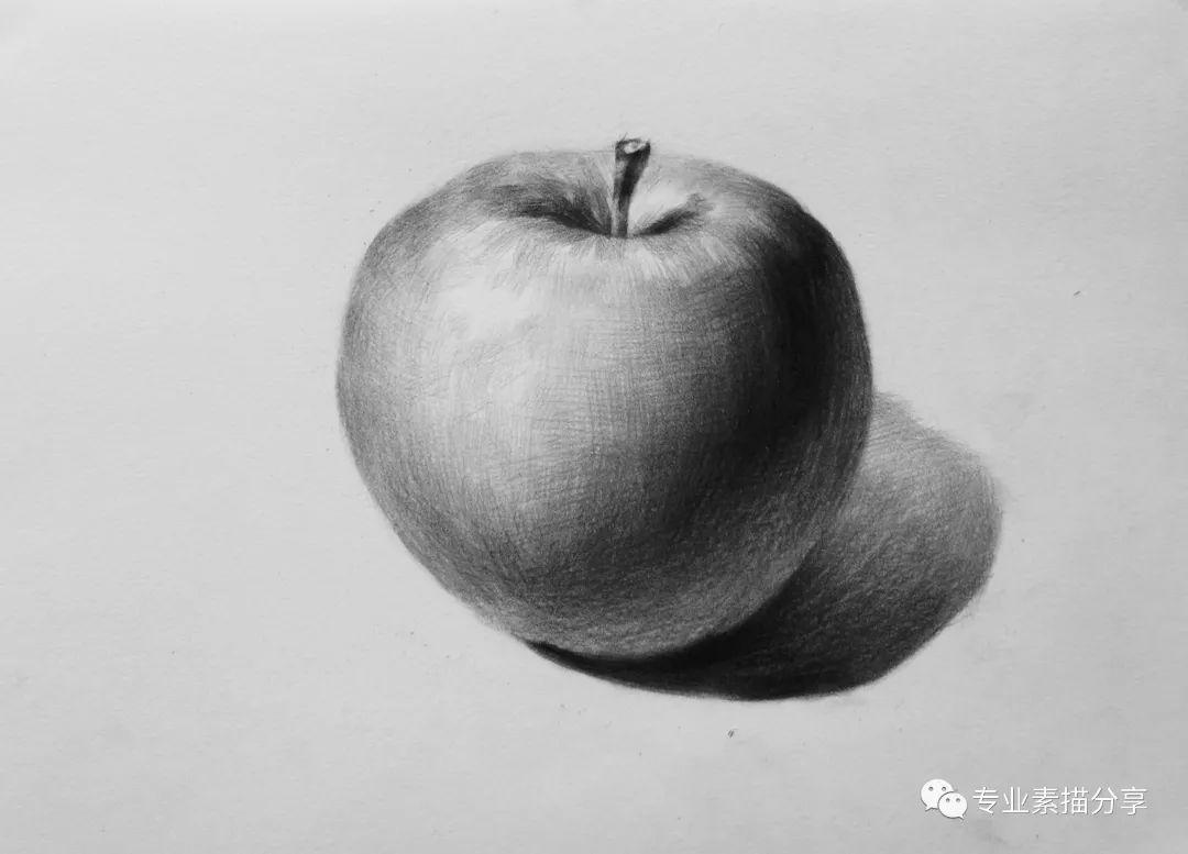 【素描静物】苹果结构详解+绘画步骤_哔哩哔哩_bilibili