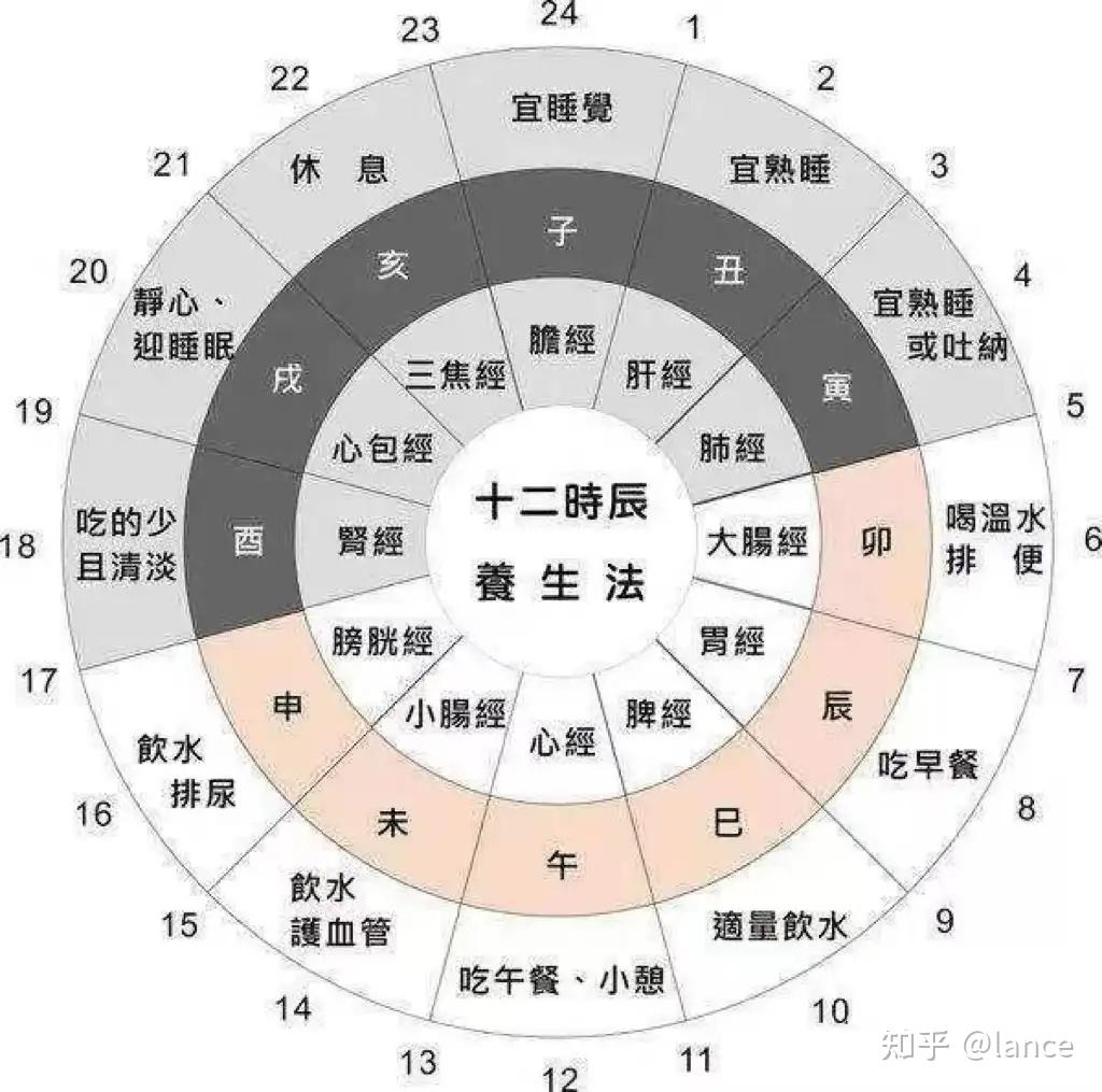 黄帝内经:十二时辰养生法(养生推荐) - 知乎