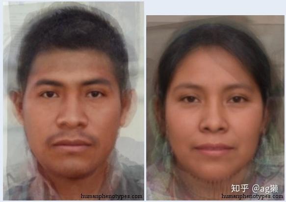 失散的远方亲戚:美洲原住民人群的平均脸