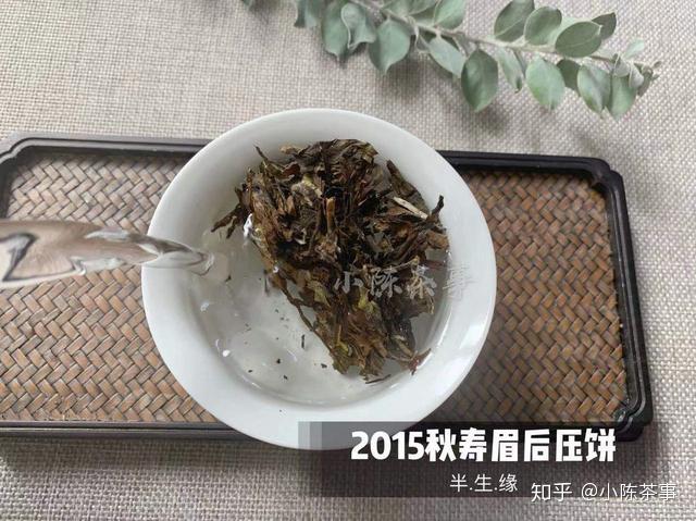 最贵的白茶饼 v2-e81aaea57665ef47d6032b1ef0ad319d_r.jpg