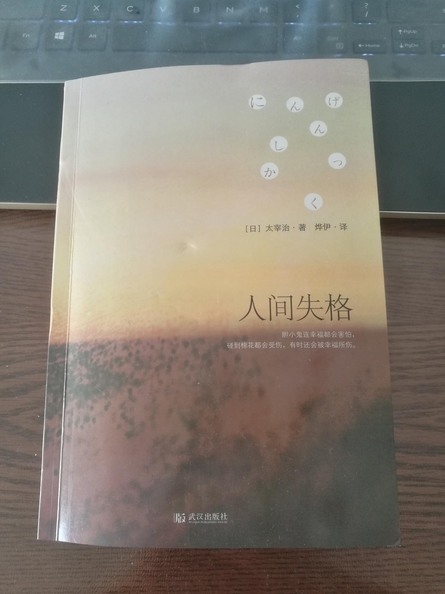 人间失格--书评