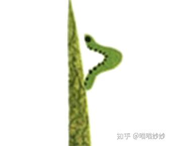 v2-e826360740abe5fb83de198488aaf565_b.jpg