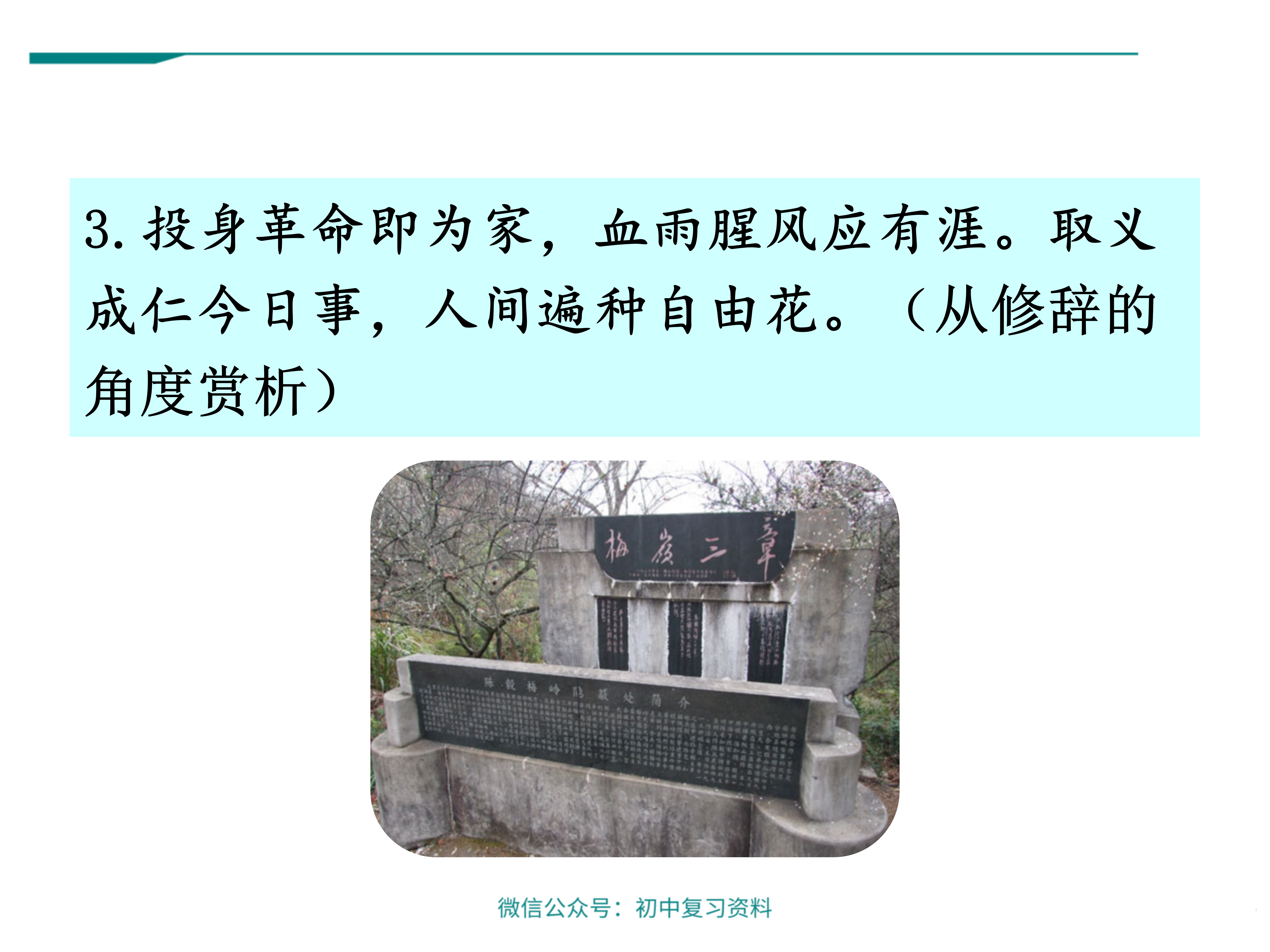 【语文课件】初中语文九年级下册梅岭三章