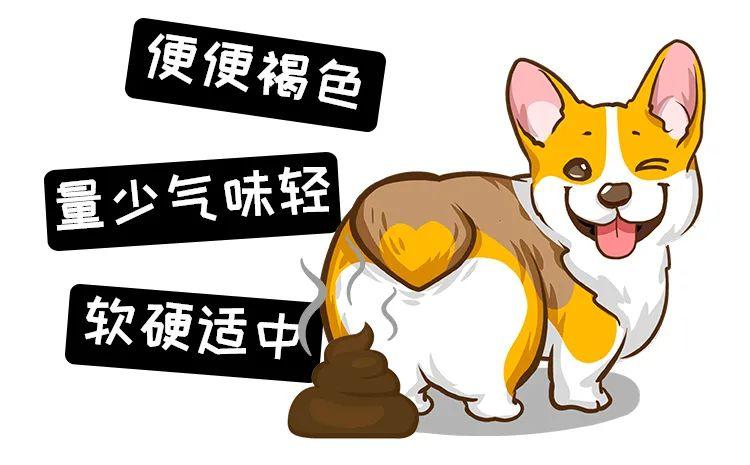 喂食宠物鲜粮后狗狗便便颜色变深便量减少是狗粮不好肠胃不适的表现吗