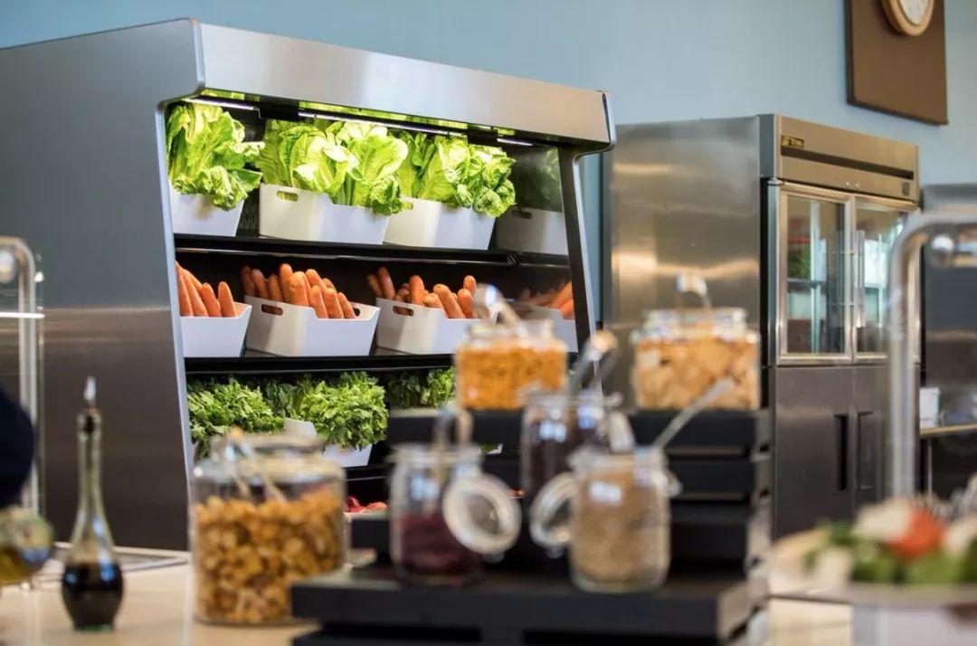 康奈尔大学申请不要标化成绩盘点八大藤校真实生活