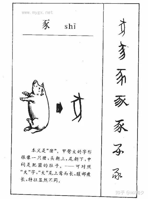 中德文化里的“猪” - 知乎