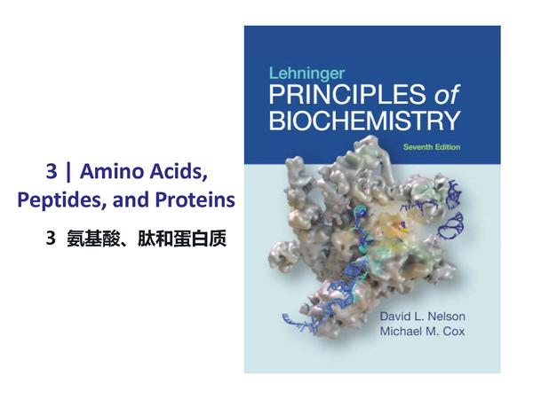 莱宁格生物化学原理 Lehninger Principles Of Biochemistry 重点划线 导读双语课件 - 知乎