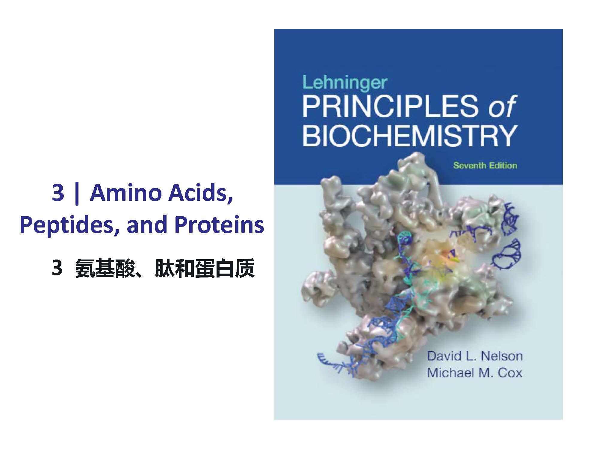 莱宁格生物化学原理 Lehninger Principles Of Biochemistry 重点划线 导读双语课件 - 知乎