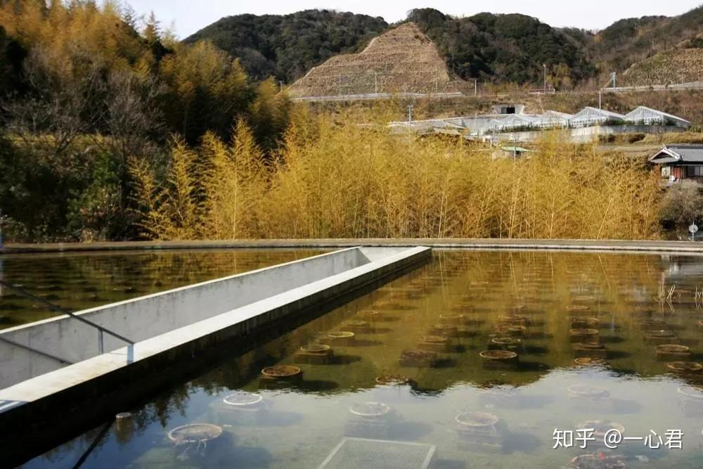 宗教类建筑设计要点及案例赏析 - 知乎