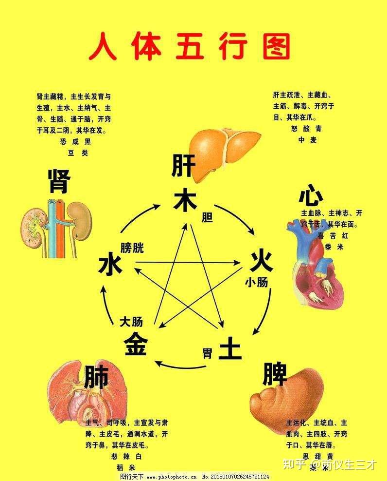 阴阳五行学说 - 知乎