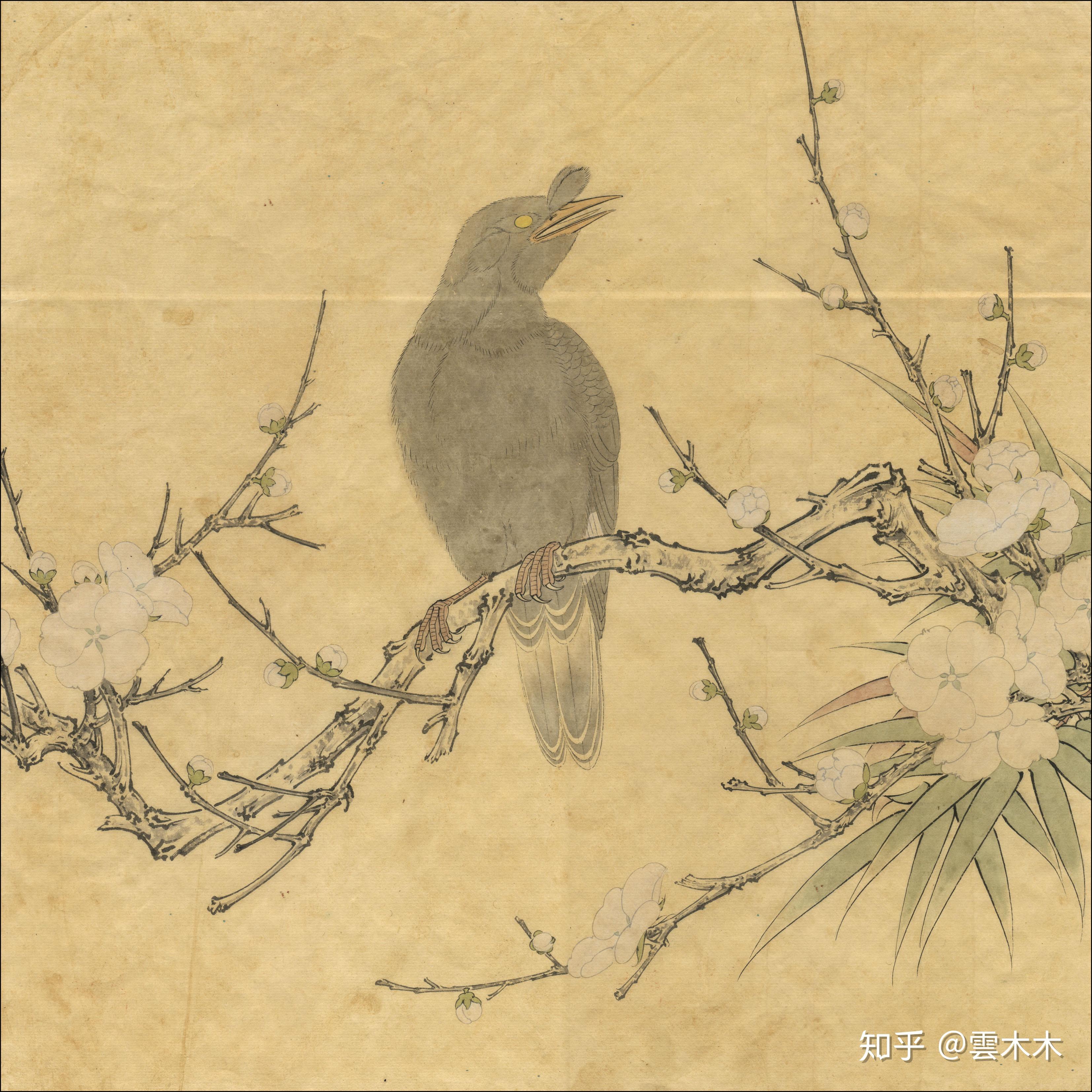 宋小品梅花八哥尺寸3529cm国画工笔绘画步骤图