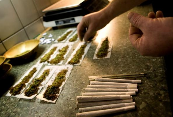 毒品科普 社交工具 大麻 知乎 毒品科普 社交工具 大麻 知乎