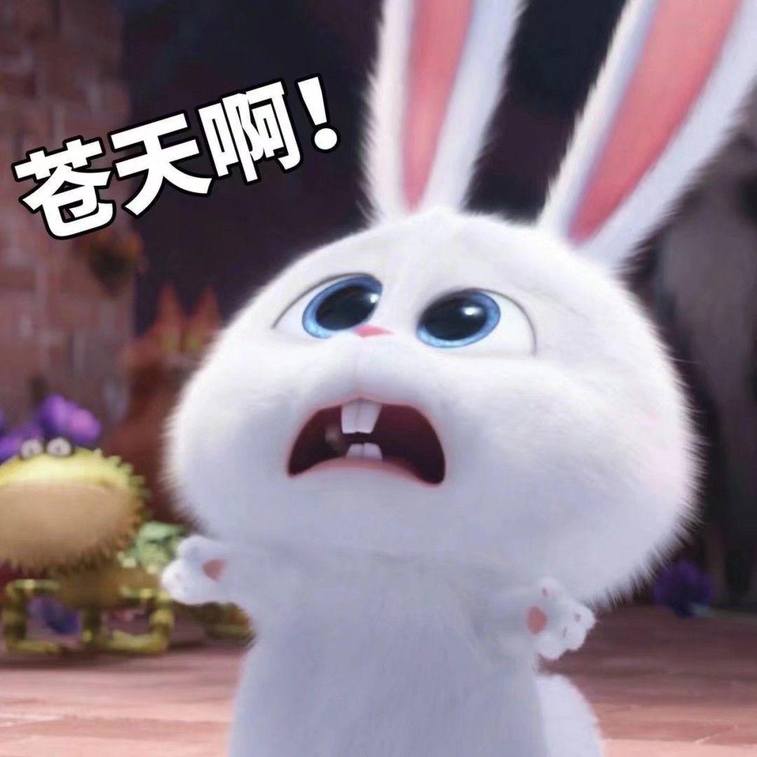 觉得人生没有意义,想死怎么办?