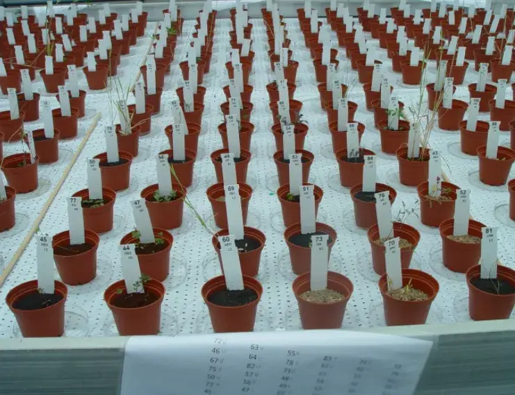 种菜说着简单,其实困难重重