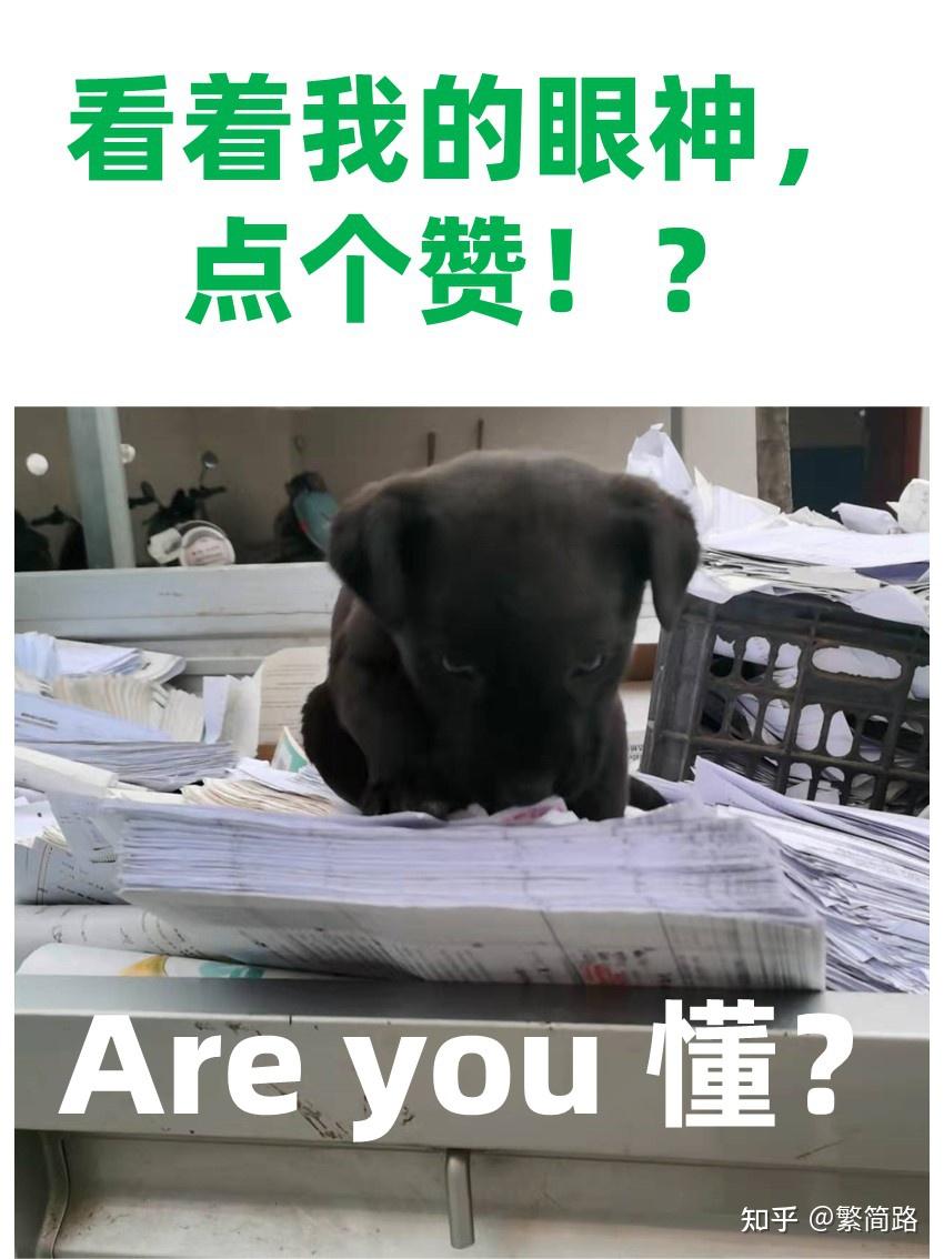 自己做网络自媒体真的可以赚钱吗网络变现课程能信吗