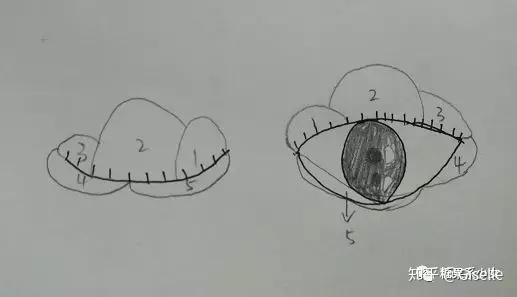 v2-e895e5316a40c5cccf0fb05a6e8173cd_r.jpg
