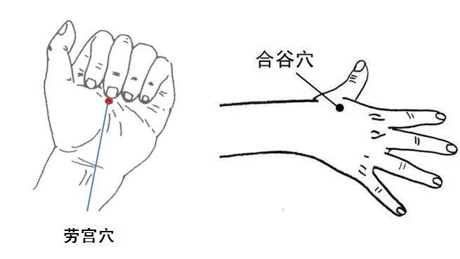 精神不振懶得動:黨參