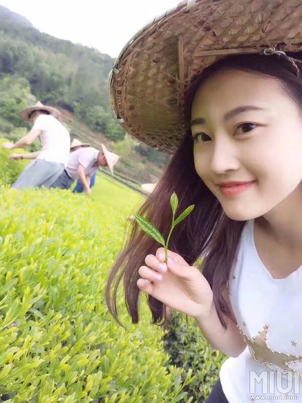 拿什么来拯救你我的卖茶女孩张奶霞