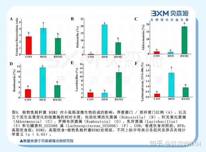 强功效·成果|植物乳植杆菌BXM2：调节肠道健康，体重管理全新解决方案 - 知乎