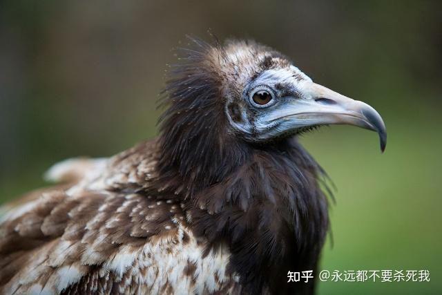 Курганинск модульные дома стоимость