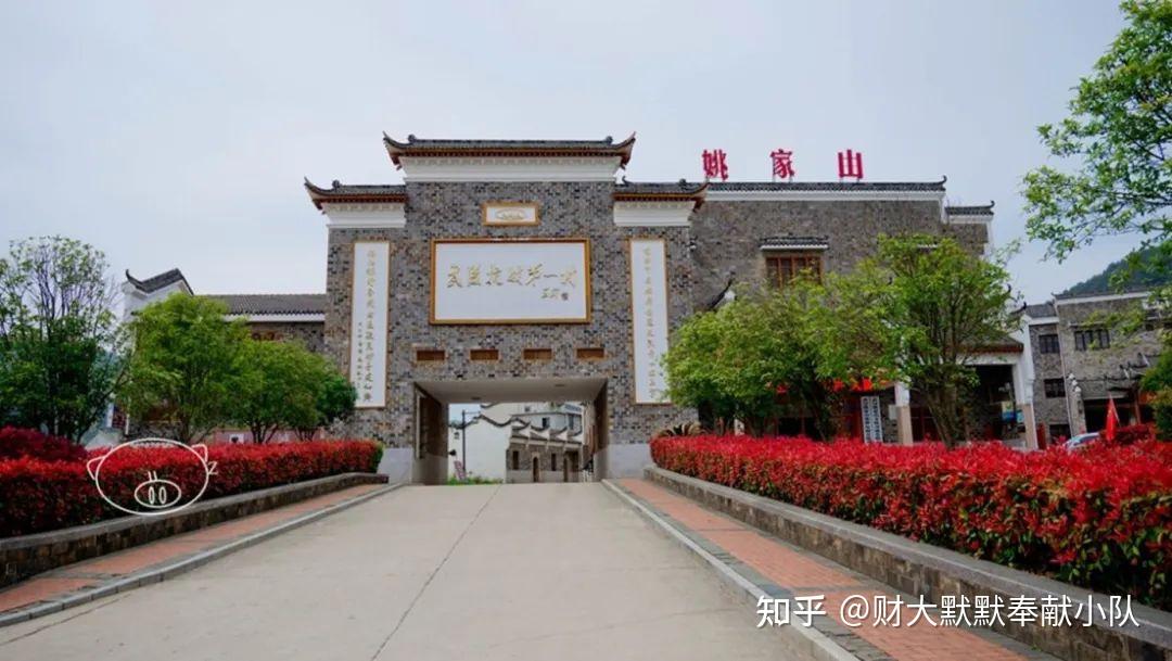 黄陂白塘村红绿融合发展推动乡村振兴