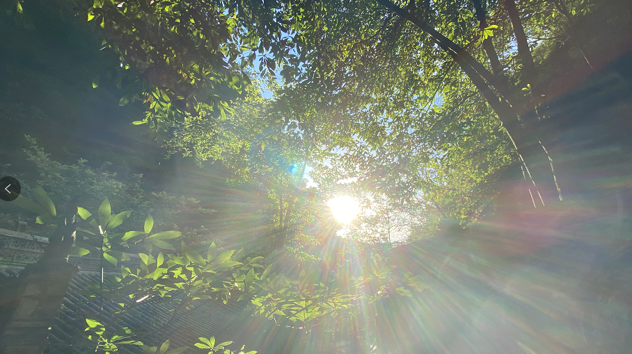 风雨过后的阳光更灿烂
