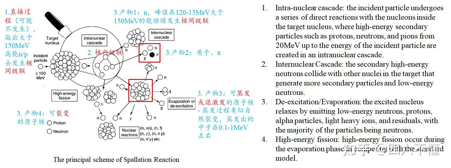 中子物理4-中子能量与核反应类型 - 知乎