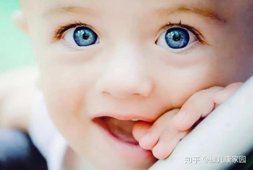 v2-e8eba9f9b7d8aff071895880e62731a9_r.jpg